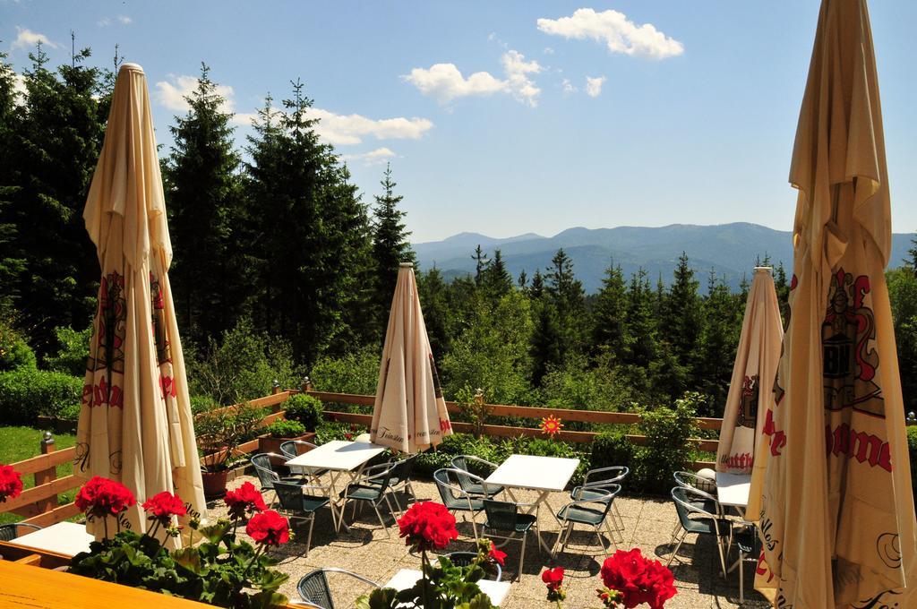 Hotel Kolmsteiner Hof Neukirchen beim Heiligen Blut Zewnętrze zdjęcie